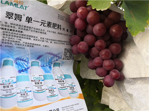水溶肥，鈣肥，硼肥
