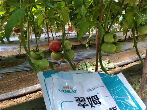 水溶肥，