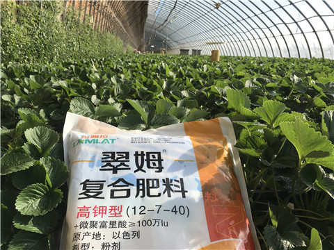 水溶，拉姆拉，翠姆