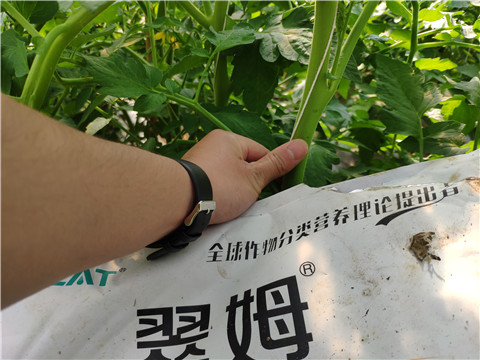 微生物菌劑，