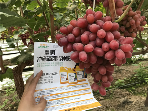 沖施肥，拉姆拉