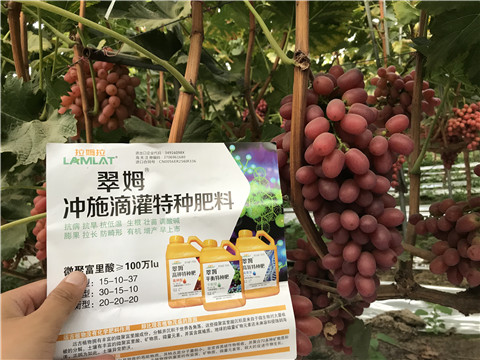 沖施肥，拉姆拉
