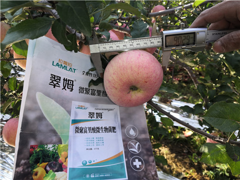 水溶肥，磷酸二氫鉀，微生物菌劑