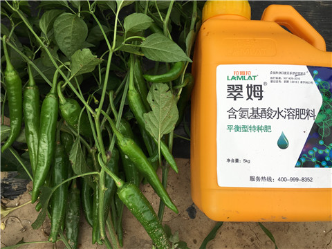 根碧多，微生物菌，葉面肥