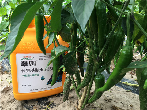 根碧多，微生物菌，葉面肥
