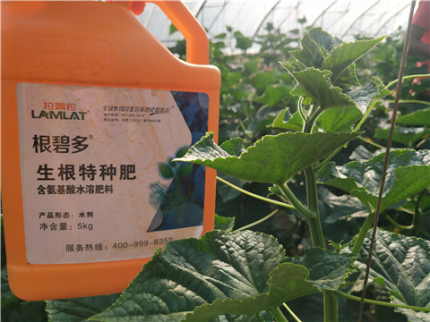 拉姆拉，根碧多，微生物菌劑
