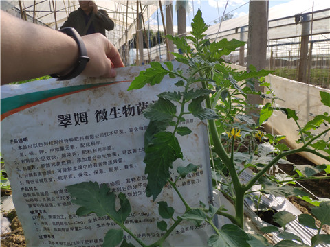 微生物菌劑 ，拉姆拉翠姆