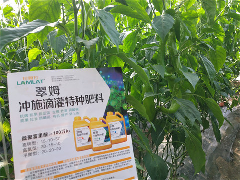 水溶肥，拉姆拉
