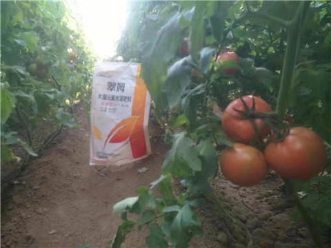 大量元素水溶肥，拉姆拉 