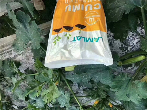 水溶肥，拉姆拉