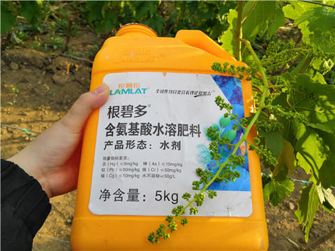 生根劑，微生物菌劑