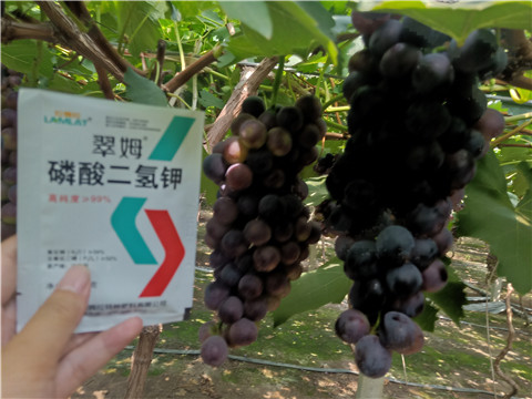 磷酸二氫鉀，葉面肥