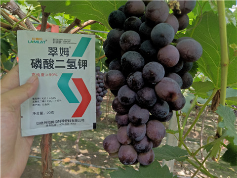 磷酸二氫鉀，葉面肥