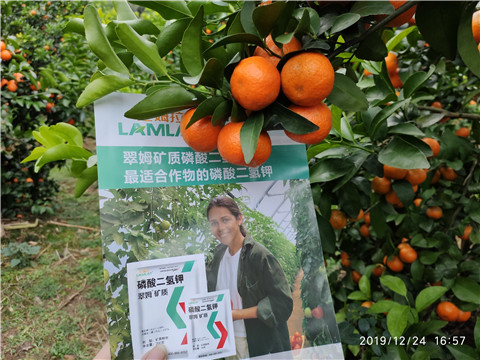 磷酸二氫鉀，鈣肥，硼肥