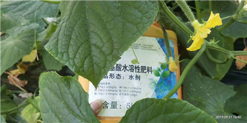 水溶肥，翠姆
