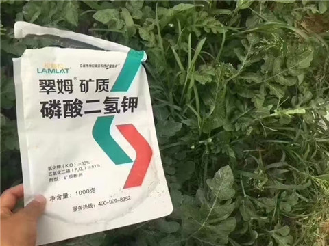 磷酸二氫鉀，硼肥，沖施肥