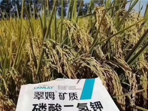 磷酸二氫鉀，翠姆