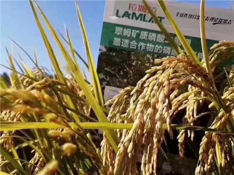 磷酸二氫鉀，翠姆
