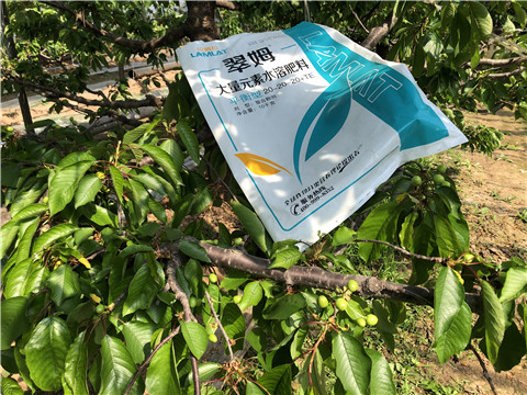 大量元素水溶肥，磷酸二氫鉀，硼肥