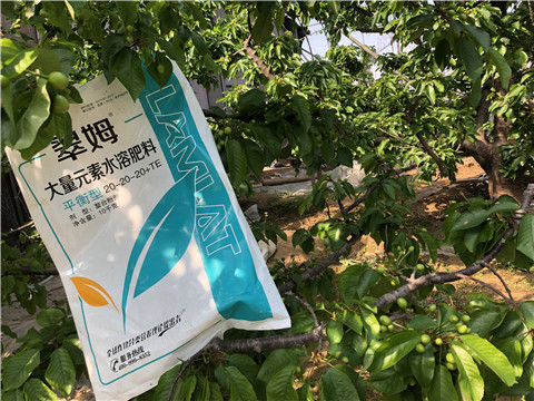大量元素水溶肥，磷酸二氫鉀，硼肥