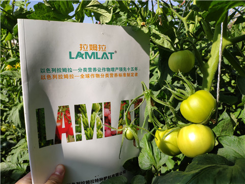 微生物菌劑，拉姆拉，伯示麥