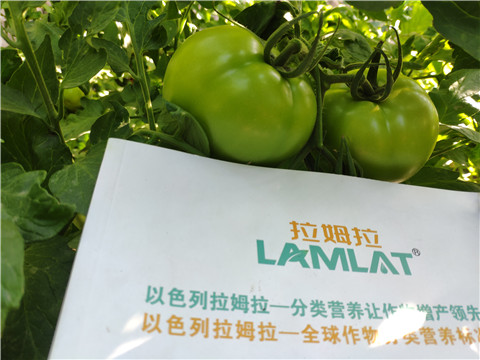 微生物菌劑，拉姆拉，伯示麥