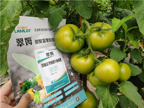 葉面肥，微生物菌劑，磷酸二氫鉀
