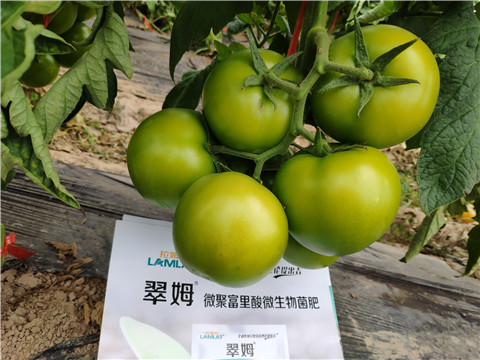 葉面肥，微生物菌劑，磷酸二氫鉀