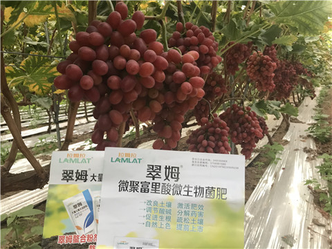 微生物菌劑，硼肥，鈣肥