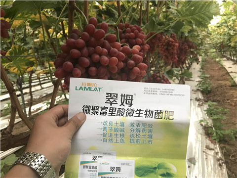 微生物菌劑，硼肥，鈣肥