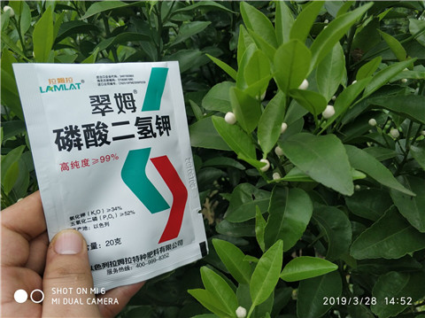 磷酸二氫鉀，硼肥，拉姆拉