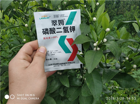 磷酸二氫鉀，硼肥，拉姆拉