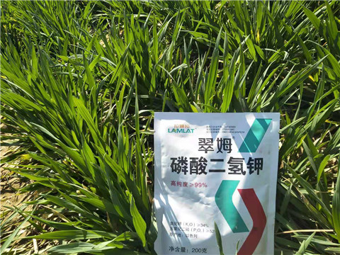 磷酸二氫鉀，葉面肥，拉姆拉