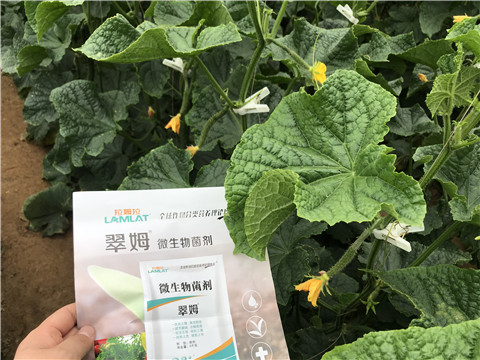微生物菌劑，水溶肥，拉姆拉