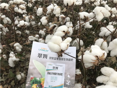 微生物菌劑，根碧多，拉姆拉