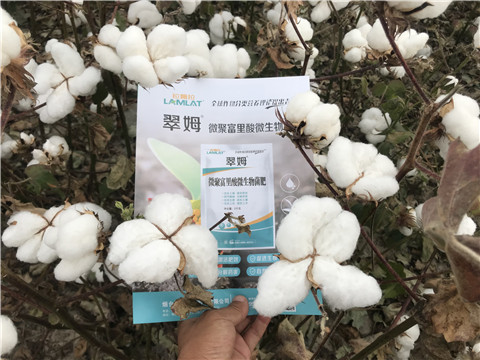 微生物菌劑，根碧多，拉姆拉