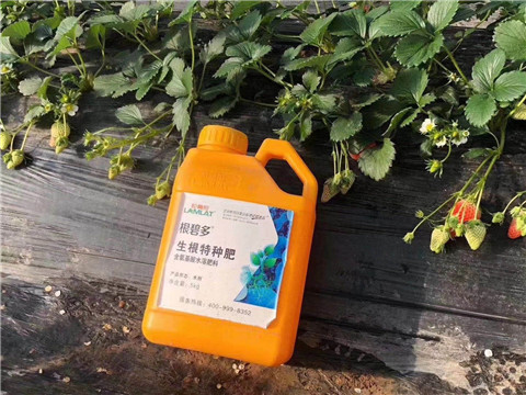 根碧多，微生物菌劑，拉姆拉
