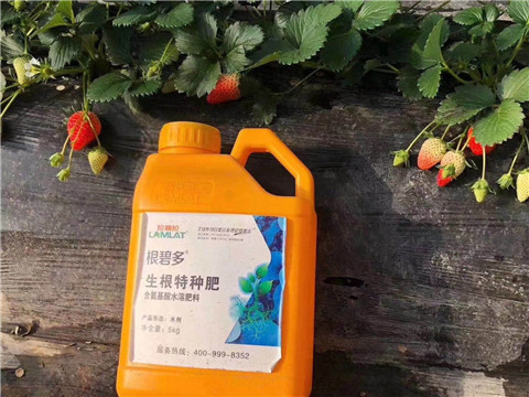 根碧多，微生物菌劑，拉姆拉