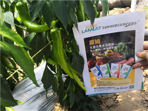 水溶肥，拉姆拉