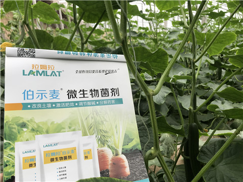 微生物菌劑，生根劑，拉姆拉