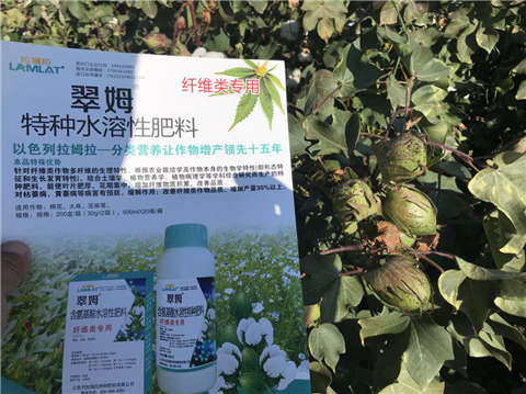 葉面肥，拉姆拉
