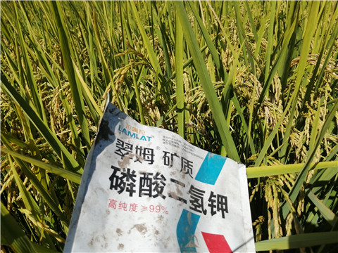 磷酸二氫鉀，翠姆，拉姆拉