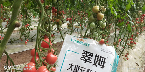 水溶肥，翠姆，拉姆拉