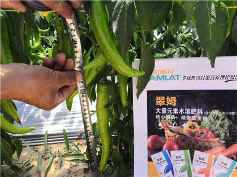 復(fù)合肥料，拉姆拉