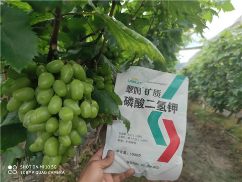 磷酸二氫鉀，拉姆拉