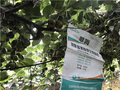 微生物菌劑，翠姆，拉姆拉