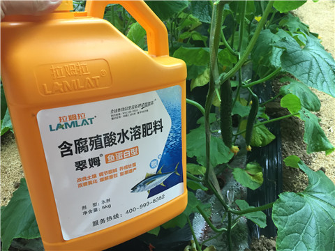 生根劑，魚蛋白水溶肥，拉姆拉
