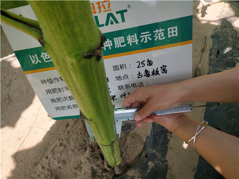 水溶肥，微生物菌劑，拉姆拉