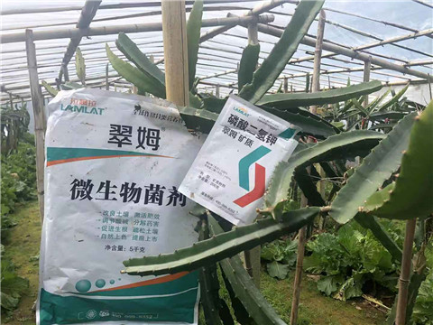 磷酸二氫鉀，翠姆，拉姆拉