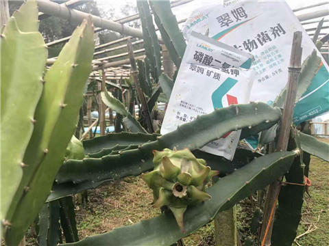 磷酸二氫鉀，翠姆，拉姆拉